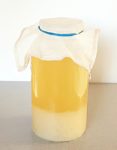 water-kefir-brewing