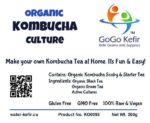 Kombucha